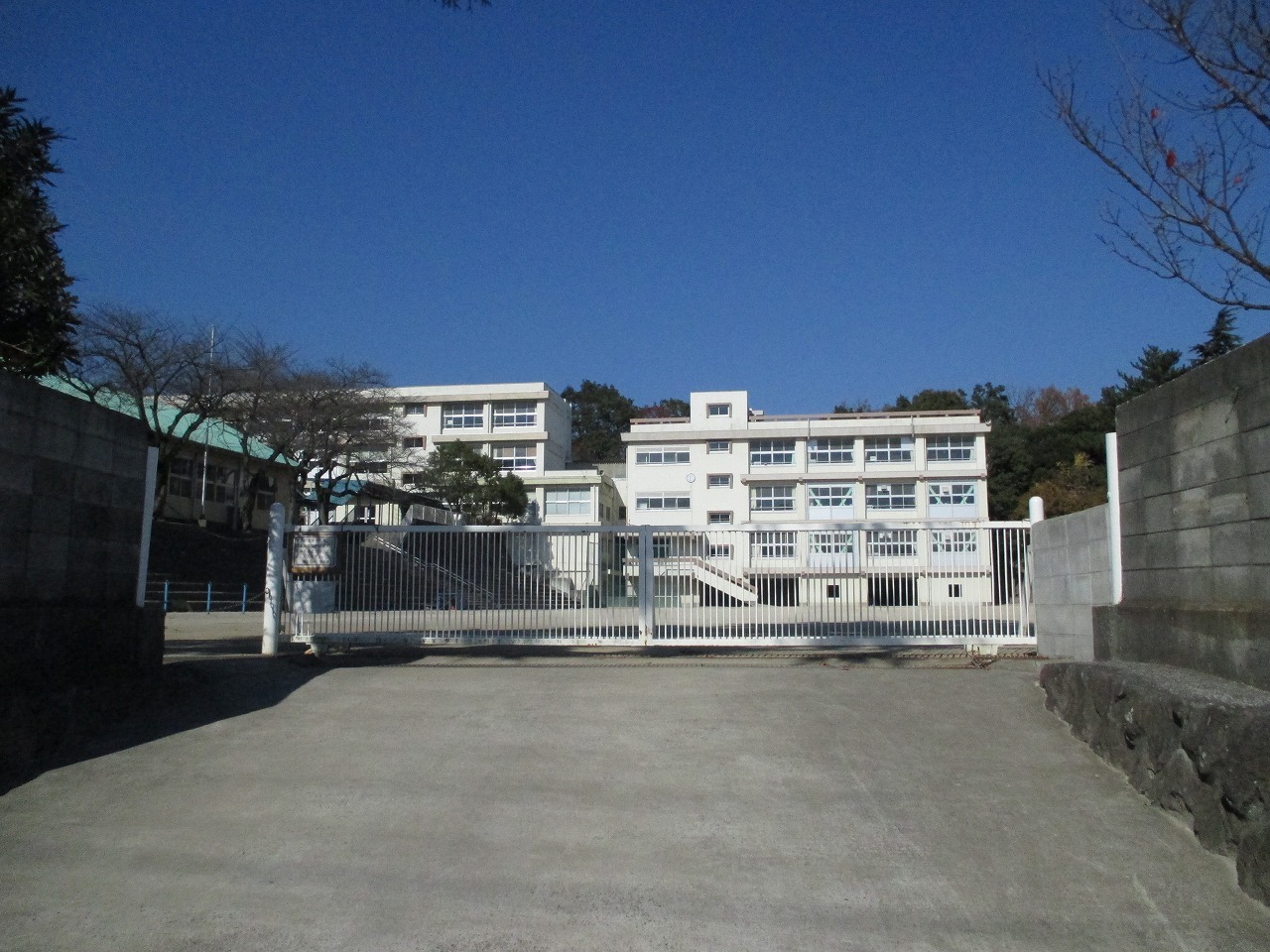 南立石小学校（約550ｍ/徒歩7分）