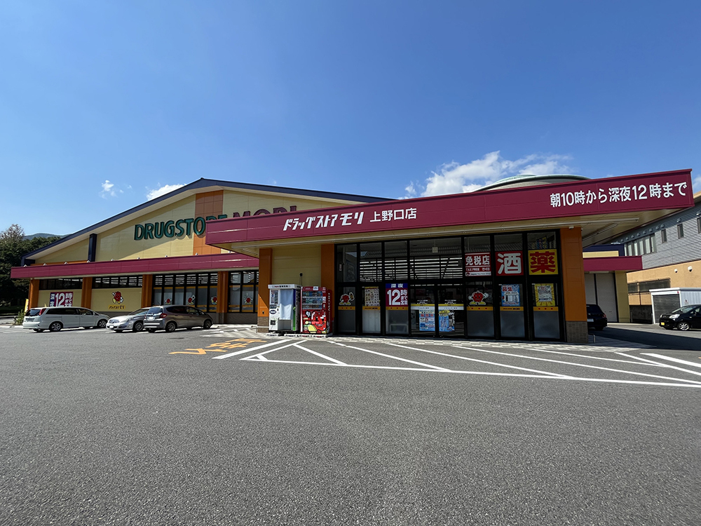 ドラッグストアモリ 上野口店（約750ｍ/徒歩10分）
