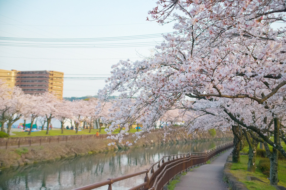 平和市民公園(徒歩5分/約350ｍ)