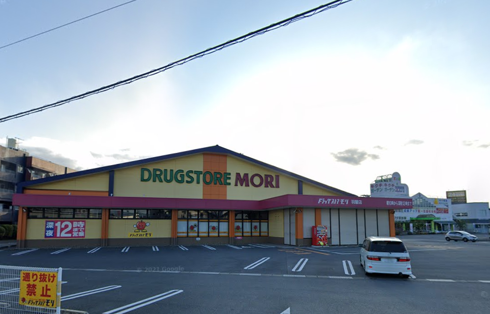 ドラッグストアモリ羽屋店(約1,040ｍ/車3分)