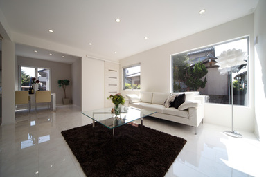 大空間プライベートバルコニーのある家 LD