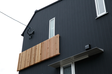 4層スキップフロアで無駄な空間を排除した黒いケースの家 外観3