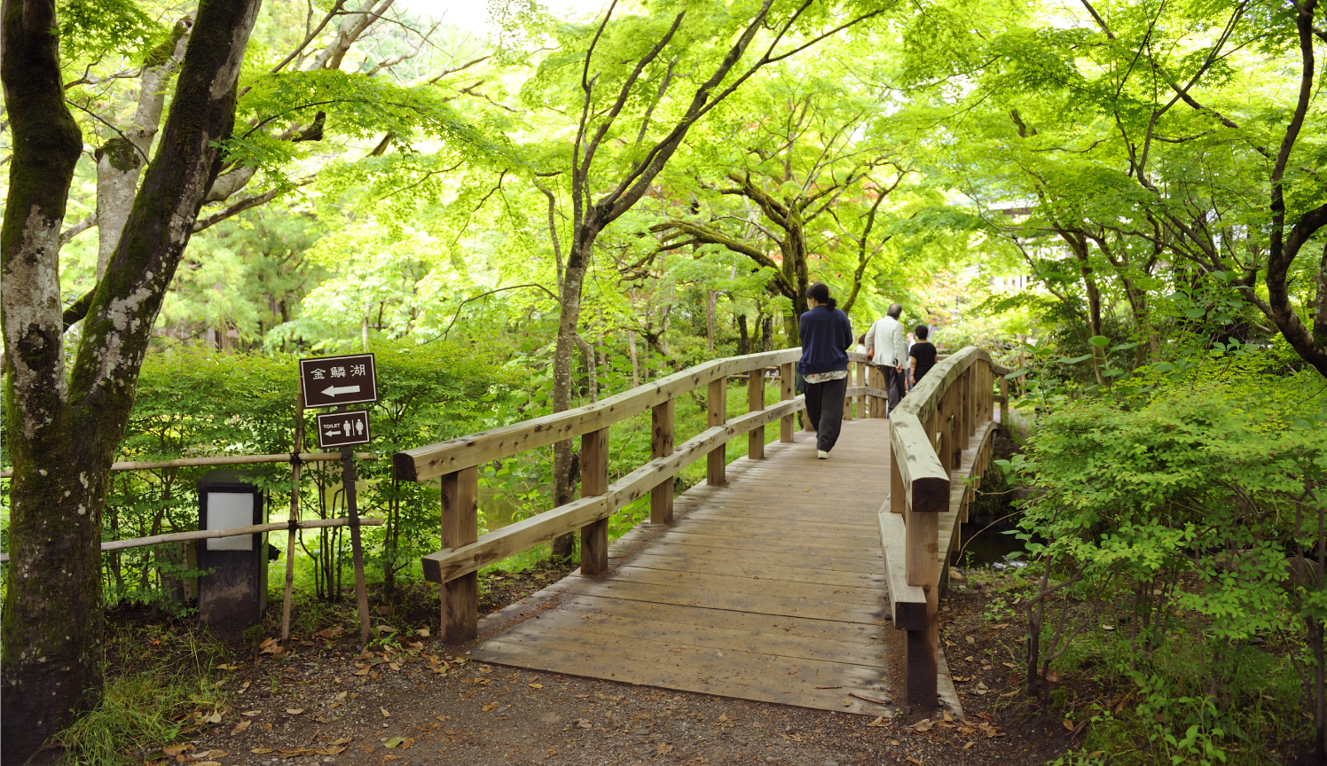 湯布院ならではの旬の食材と珍しい温泉を楽しむ