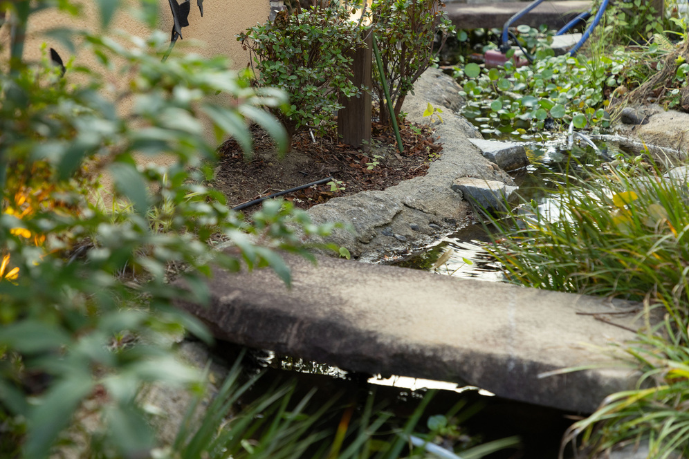 素材と造形美を大切に。時間とともに味わいを増す「本物の家」。