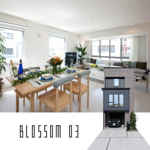 BLOSSOM 03