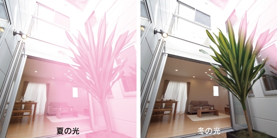 ふり注ぐ陽光、通り抜ける風