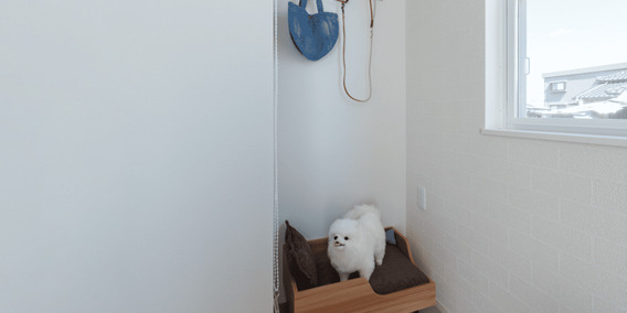 ペットスペース