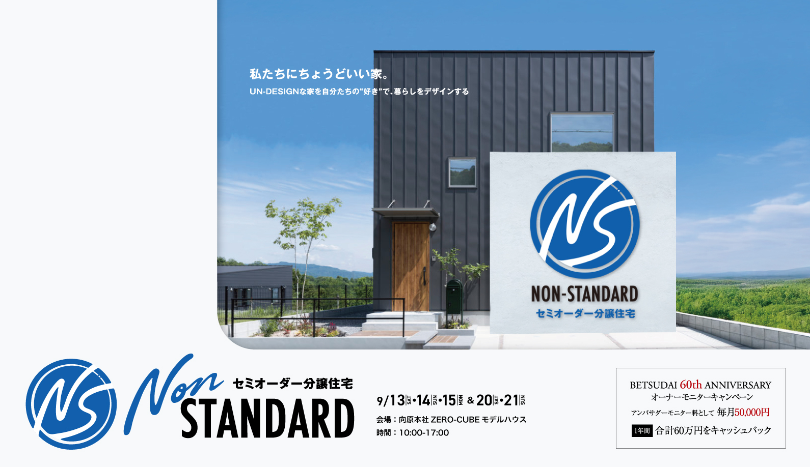 NonStandardHouse