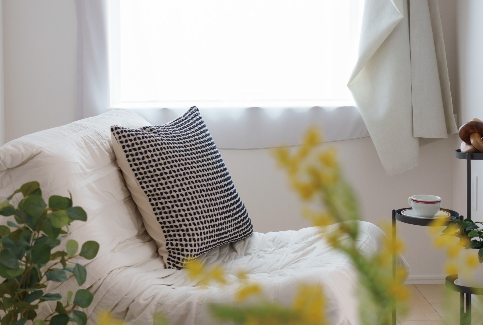 ヌックのイメージ